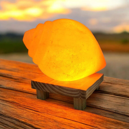 Natural Salt Lamp - Shankh