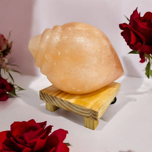 Natural Salt Lamp - Shankh